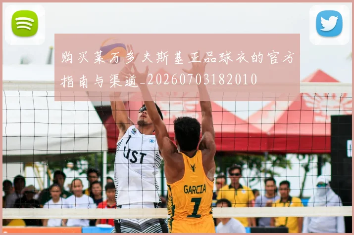 购买莱万多夫斯基正品球衣的官方指南与渠道_20260703182010