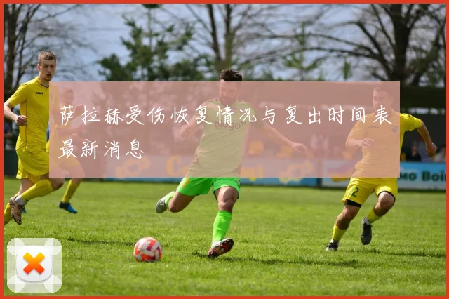 萨拉赫受伤恢复情况与复出时间表最新消息