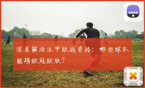 深度解读法甲欧战资格：哪些球队能踢欧冠欧联？